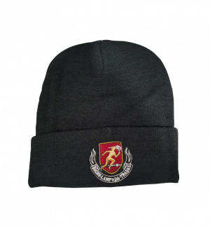 PTHS BEANIE