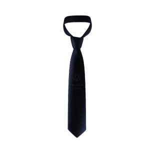 Birkenhead College Tie